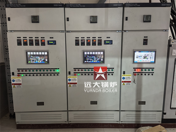 6 ton 8 ton Biomass Steam Boiler For Textile Factory Bangladesh