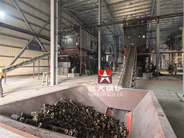 6 ton 8 ton Biomass Steam Boiler For Textile Factory Bangladesh