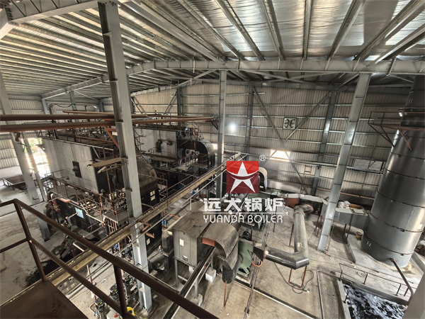 Chain Grate Biomass Boiler 6 Ton 8 Ton Have Been Installed Successfully