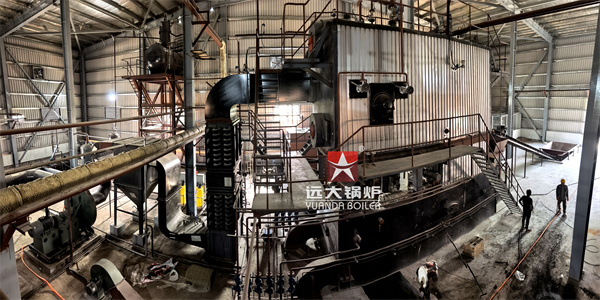 Chain Grate Biomass Boiler 6 Ton 8 Ton Have Been Installed Successfully