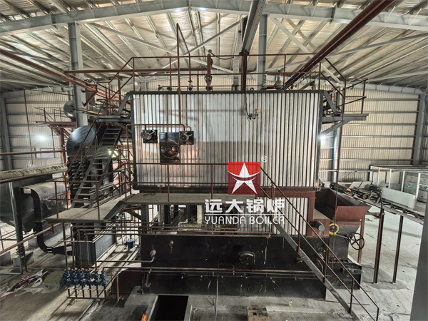 Chain Grate Biomass Boiler 6 Ton 8 Ton Have Been Installed Successfully