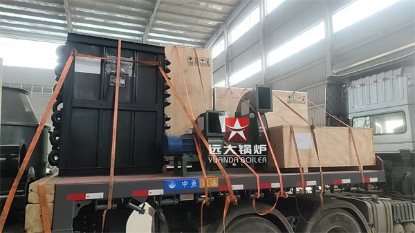 DZH Wood Fired Steam Boiler Travelling Grate Boiler 2 Ton