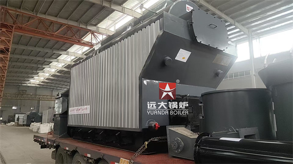 DZH Wood Fired Steam Boiler Travelling Grate Boiler 2 Ton