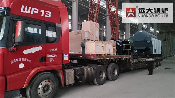 3Ton Coal Steam Boiler Delivery to Philippines