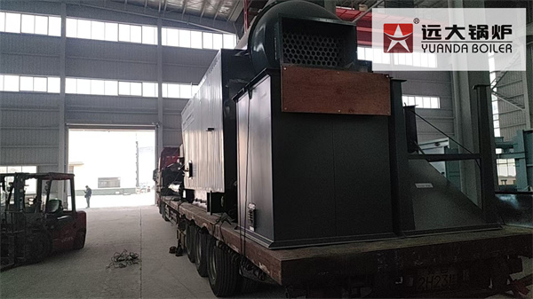 3Ton Coal Steam Boiler Delivery to Philippines