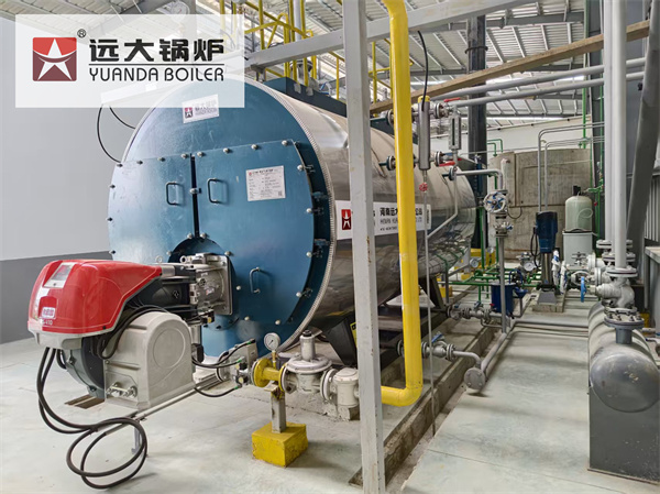 Caldera de Vapor Economizadora de Ahorro de Energía de 4 Toneladas