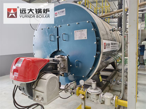 Caldera de Vapor Economizadora de Ahorro de Energía de 4 Toneladas