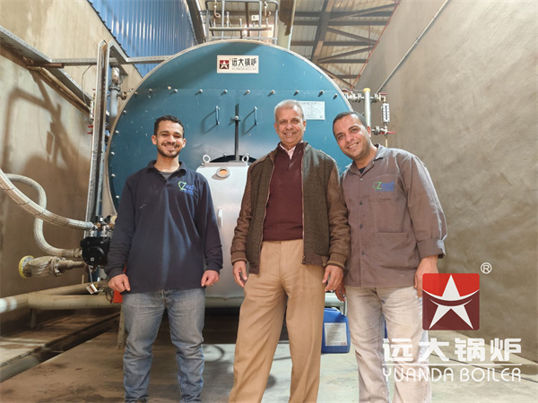 Egypt Natural Gas Fired Steam Boiler 10 Ton Per Hour