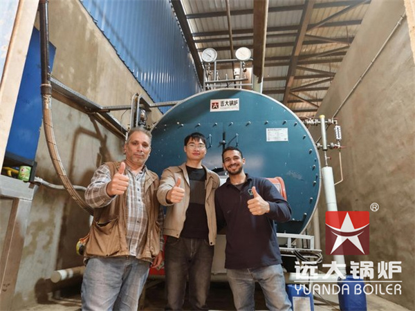 Egypt Natural Gas Fired Steam Boiler 10 Ton Per Hour
