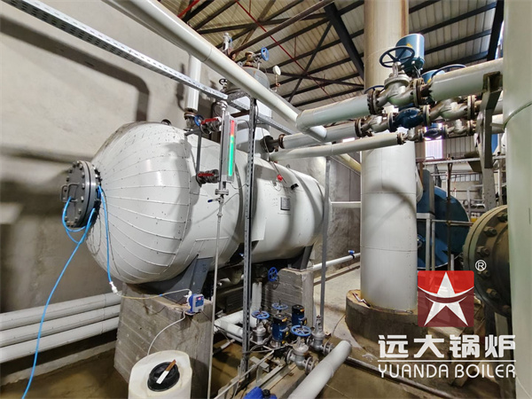 Egypt Natural Gas Fired Steam Boiler 10 Ton Per Hour