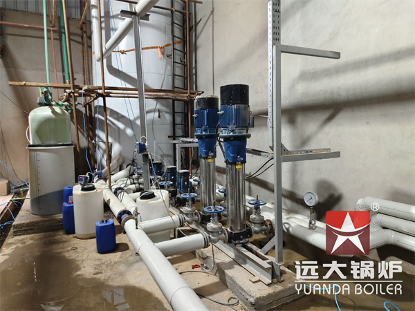 Egypt Natural Gas Fired Steam Boiler 10 Ton Per Hour