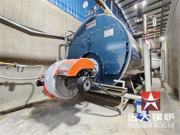 10 Ton Gas Fired Boiler For Starch Plant Egypt