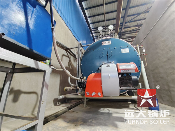 10 Ton Gas Fired Boiler For Starch Plant Egypt