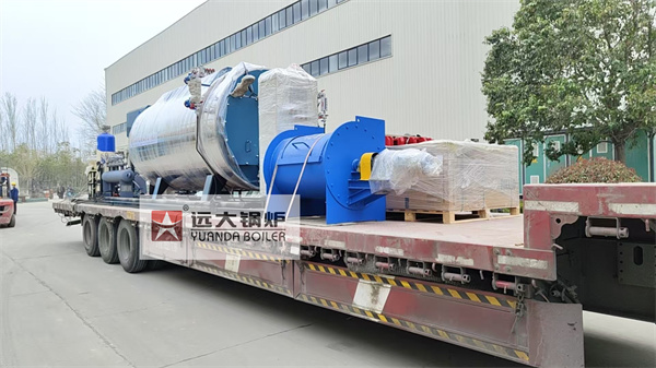 Diesel Gas Fired Hot Water Steam Boiler For Slaughter House