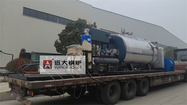 Diesel Gas Fired Hot Water Steam Boiler For Slaughter House