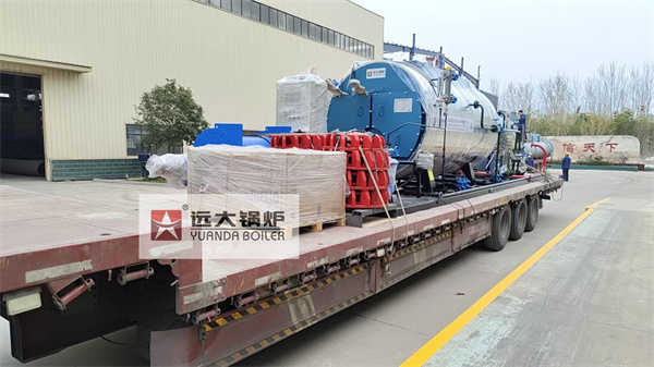 Diesel Gas Fired Hot Water Steam Boiler For Slaughter House