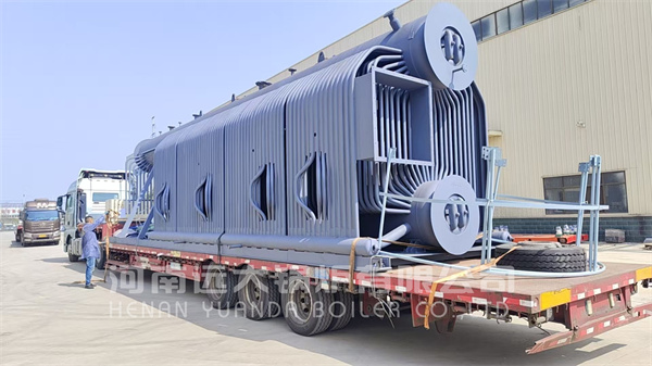 Water Cooled Membrane Wall Design Double Water Drums Biomass Boiler