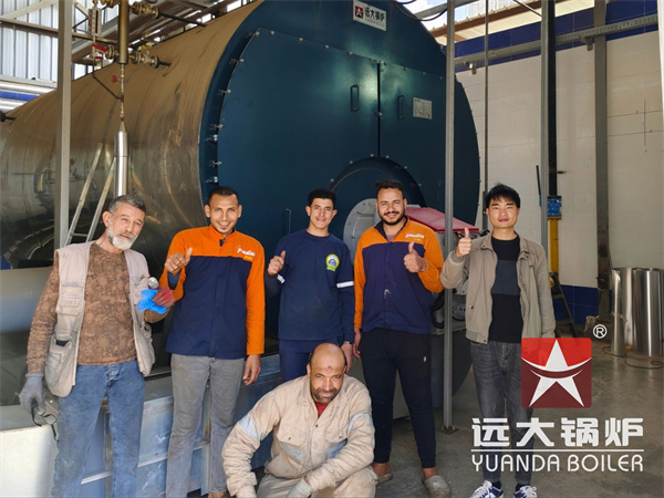 20 Ton Steam Boiler For Noodle Production Factory