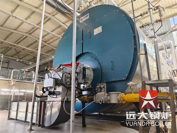 20 Ton Steam Boiler For Noodle Production Factory