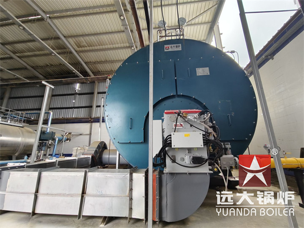 20 Ton Gas Boiler Supports Egypt Noodles Production