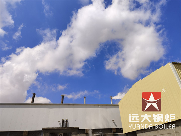 20 Ton Gas Boiler Supports Egypt Noodles Production