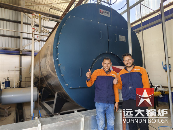 20 Ton Gas Boiler Supports Egypt Noodles Production