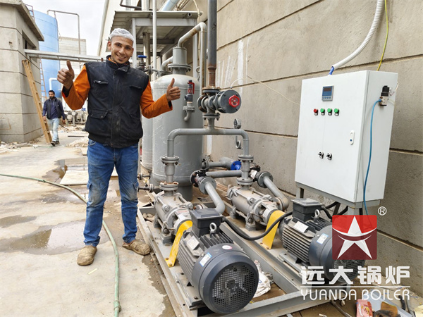 20 Ton Gas Boiler Supports Egypt Noodles Production