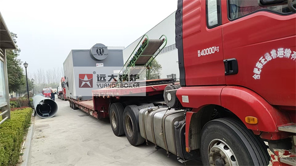 8Ton Reciprocating Grate Biomass Boiler For Palm Oil Mill