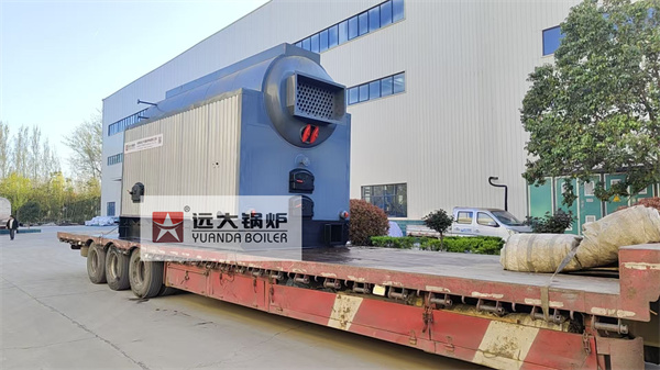 Indoneisa Chain Grate Biomass Steam Boiler 3 Ton Per Hour