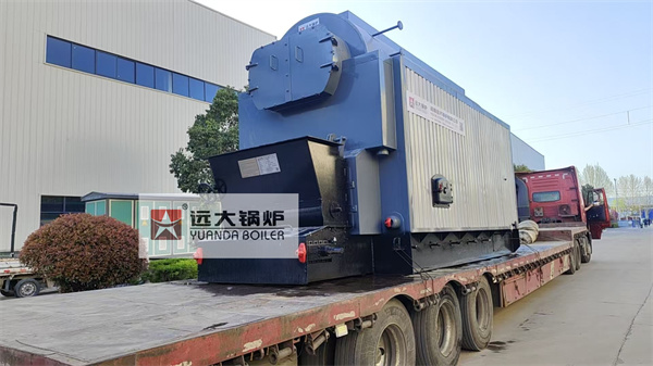 Indoneisa Chain Grate Biomass Steam Boiler 3 Ton Per Hour