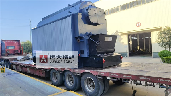 Indoneisa Chain Grate Biomass Steam Boiler 3 Ton Per Hour