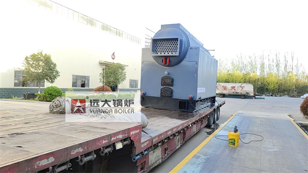 Indoneisa Chain Grate Biomass Steam Boiler 3 Ton Per Hour