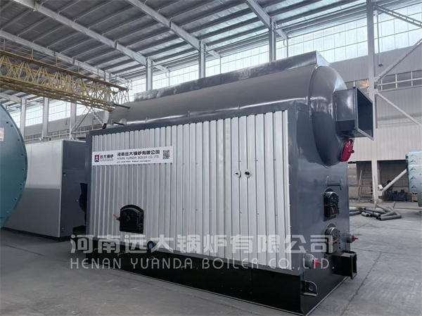 Coal Biomass Steam Boiler Rear View