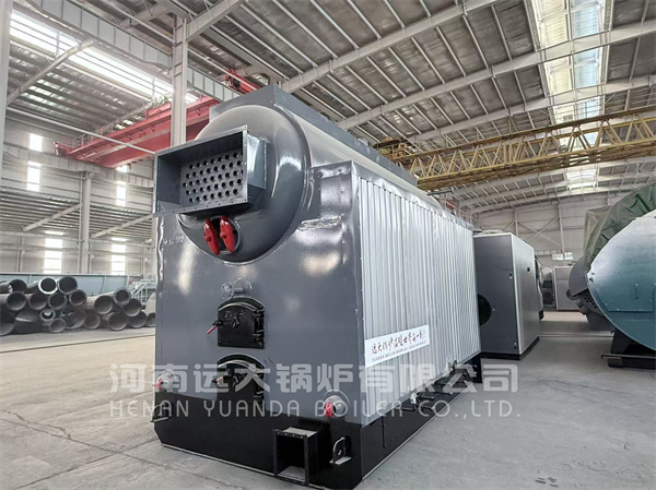 Coal Biomass Steam Boiler Rear View