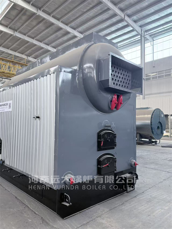 Coal Biomass Steam Boiler Rear View