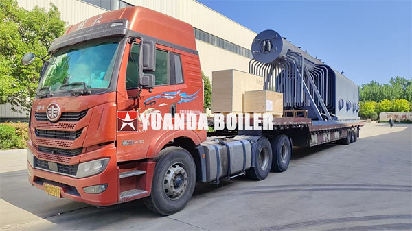 Biomass Reciprocating Grate Boiler 20 Ton Per Hour