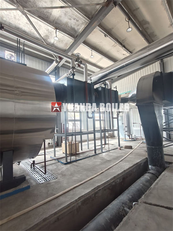 20Ton Fire Tube Steam Boiler For Food Beverage Company