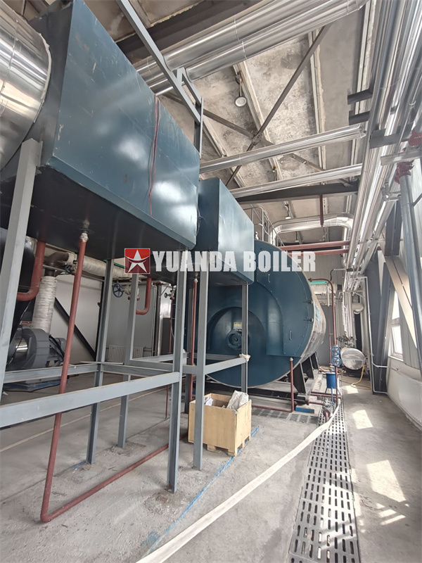 20Ton Fire Tube Steam Boiler For Food Beverage Company