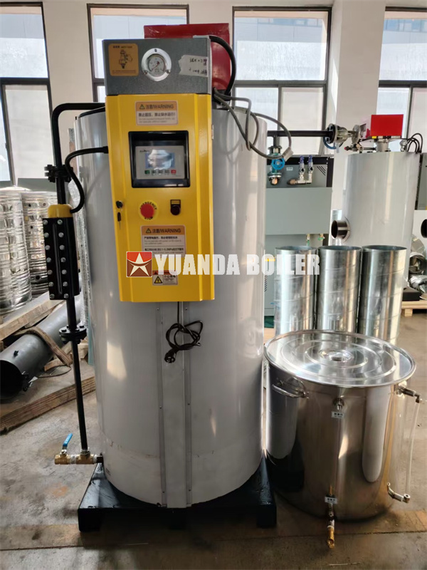 200kg Vertical Gas Boiler For Distillery Factory