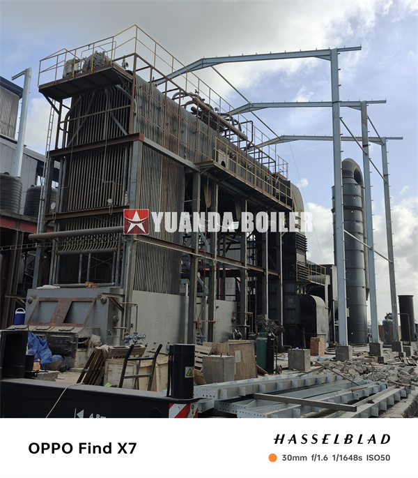 Biomass Water Tube Boiler 25 Ton For Rice Mill Production Heat and Power