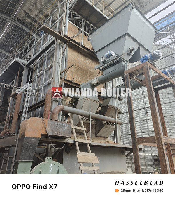Biomass Water Tube Boiler 25 Ton For Rice Mill Production Heat and Power
