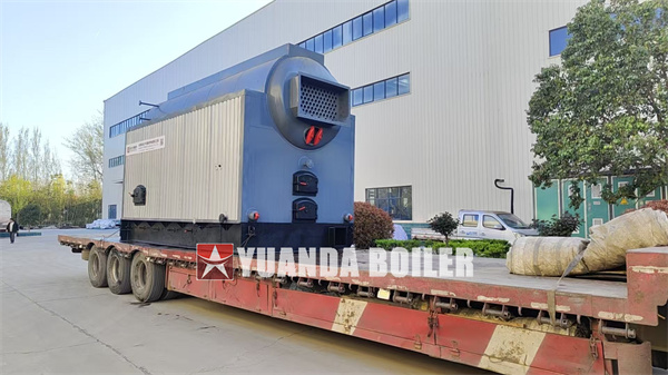 DZL Chain Grate Biomass Boiler 4 Ton Hour For Indonesia Food Factory