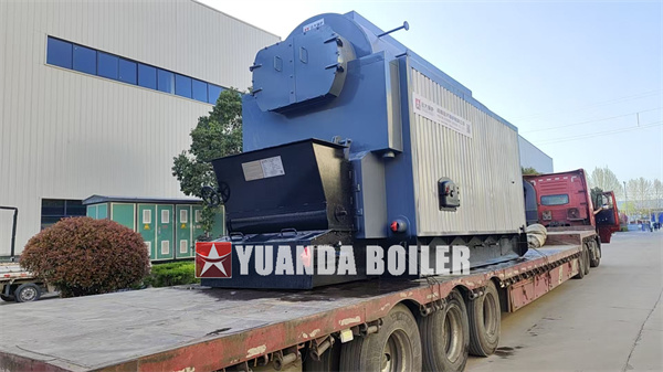 DZL Chain Grate Biomass Boiler 4 Ton Hour For Indonesia Food Factory