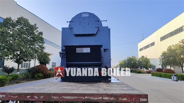 DZL Chain Grate Biomass Boiler 4 Ton Hour For Indonesia Food Factory