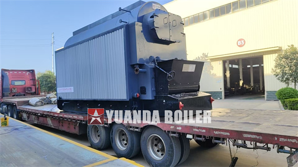 DZL Chain Grate Biomass Boiler 4 Ton Hour For Indonesia Food Factory