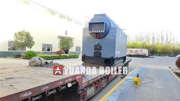 DZL Chain Grate Biomass Boiler 4 Ton Hour For Indonesia Food Factory