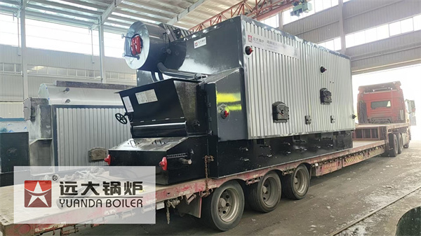 6Ton Coal Steam Boiler For Packaging Factory Philippines