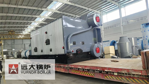6Ton Coal Steam Boiler For Packaging Factory Philippines