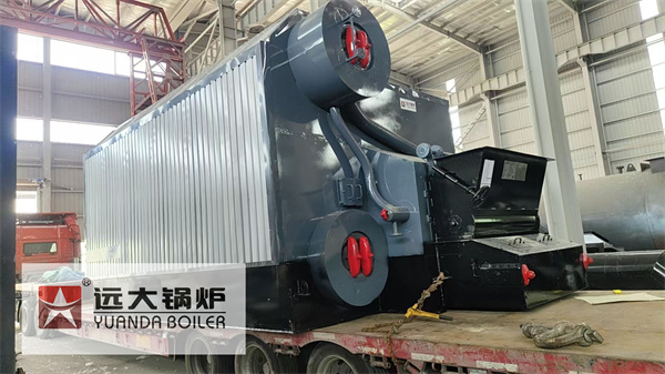6Ton Coal Steam Boiler For Packaging Factory Philippines