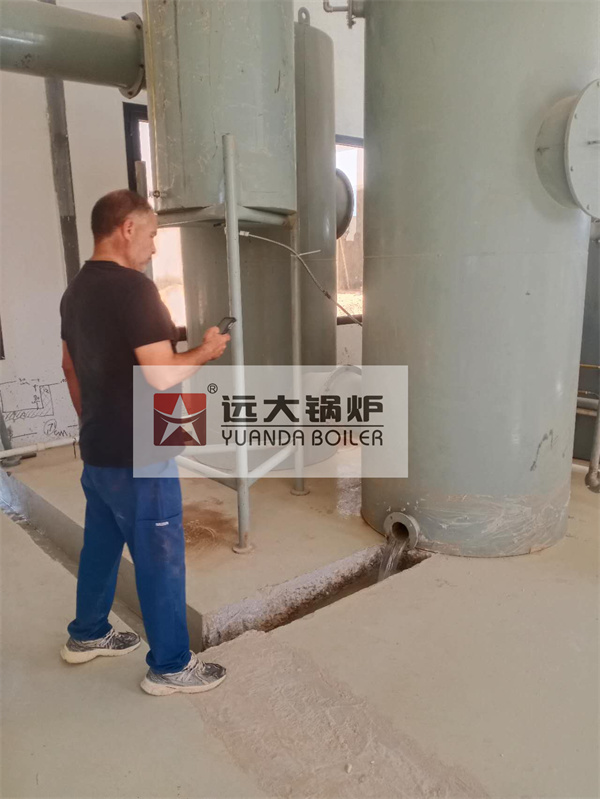 Azerbaijan Animal and Medical Waste Incinerator 750 kg hour